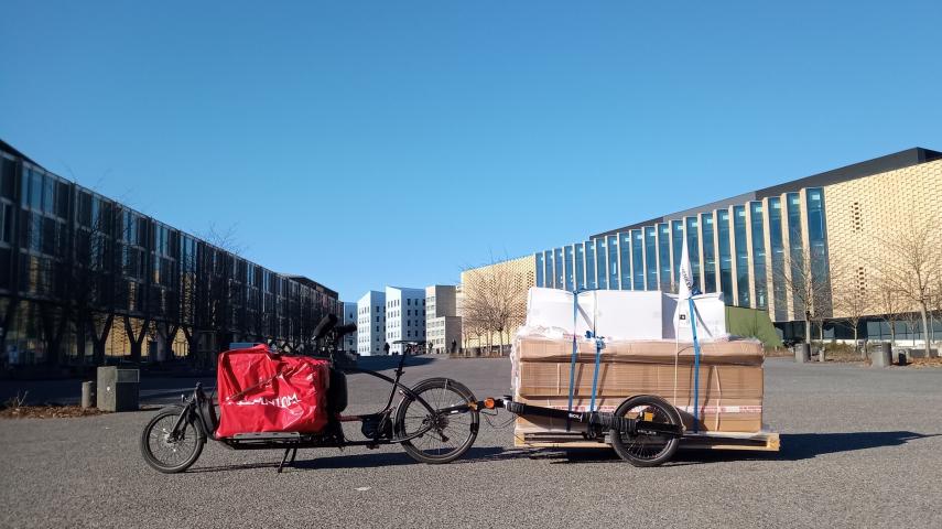 Pictures 1763059615